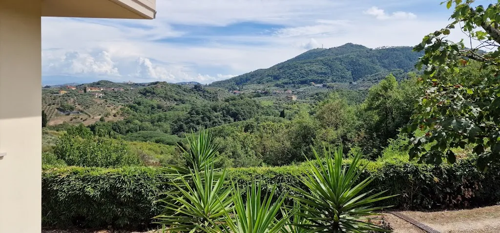 T. László Imrei_Trattoria Ferretti_Cantagrillo-Casalguidi_review