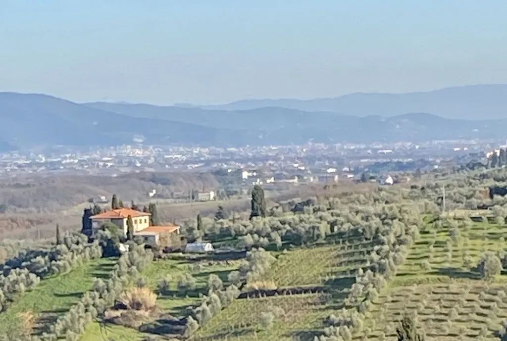 Enzo_Trattoria Ferretti_Cantagrillo-Casalguidi_review