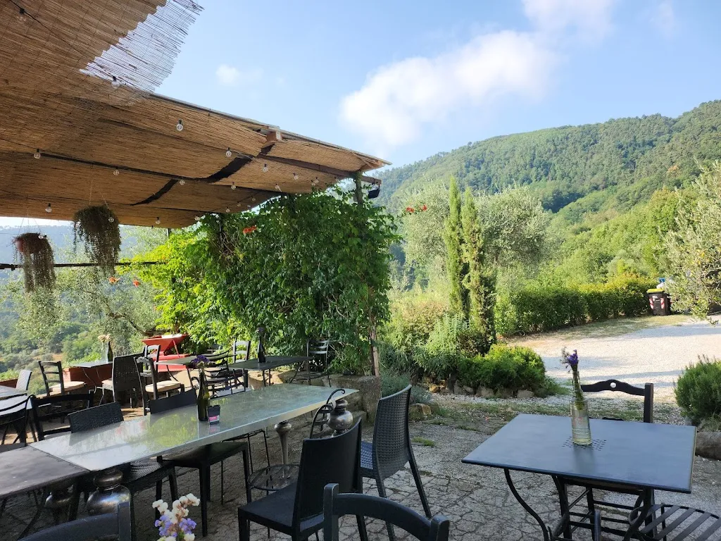 Barbara Bortolai_Azienda agricola Scerba_Cantagrillo-Casalguidi_review