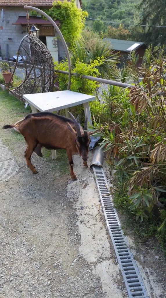 antonio martorano_Canto Di Primavera del Sogno antico_Cantagrillo-Casalguidi_recensione