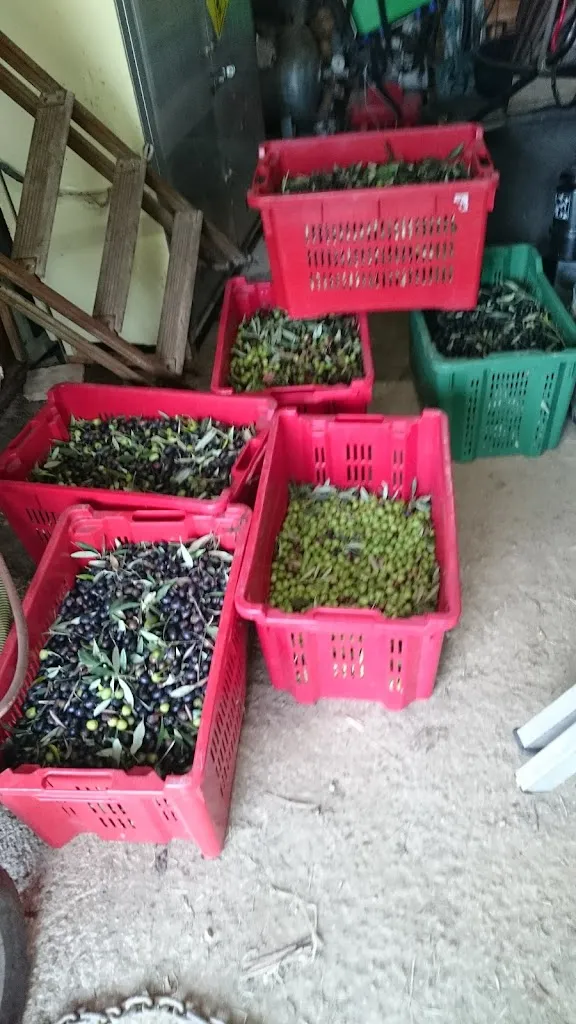 Menu_Amici Di Malú_Cantagrillo-Casalguidi_image_9