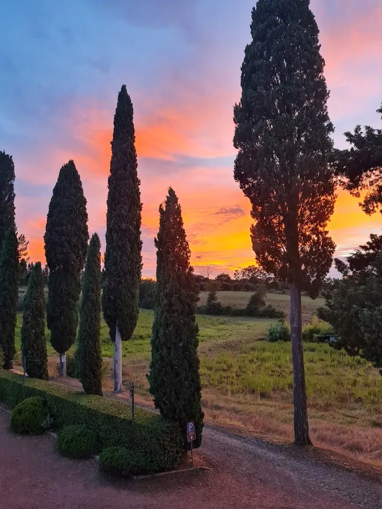 Aleksandra Kozieł_Agriturismo Terra Di Dio Toscanizzazione_Capannoli_recensione