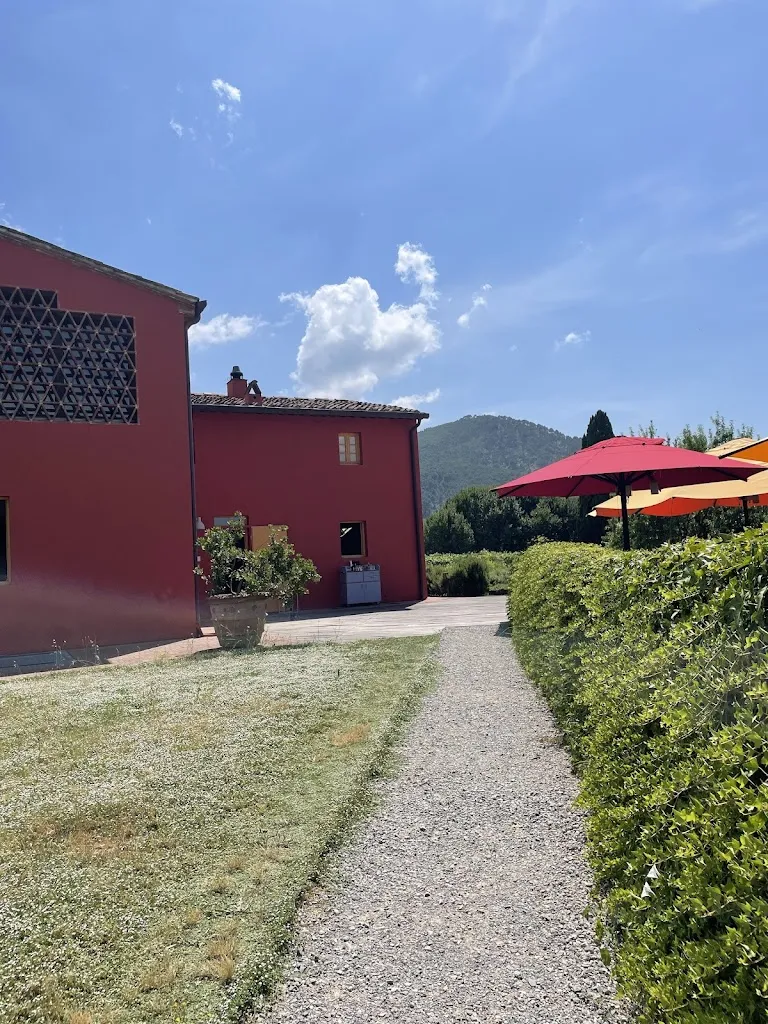 Adolpho Meirelles_Cucina dello Scompiglio_Capannori_review