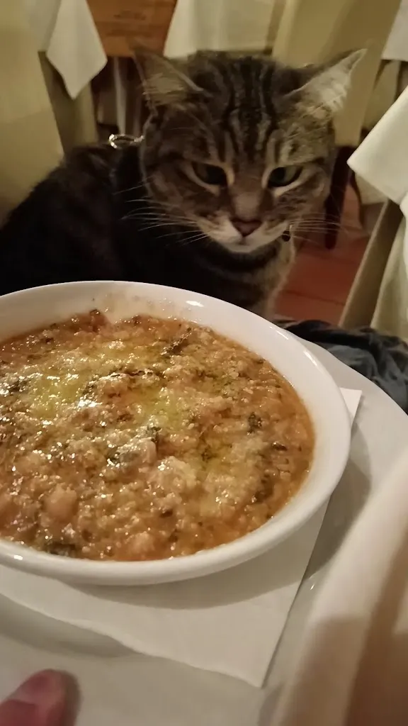 Gigia TravelCat_Ristorante Tullio_Capalbio_review