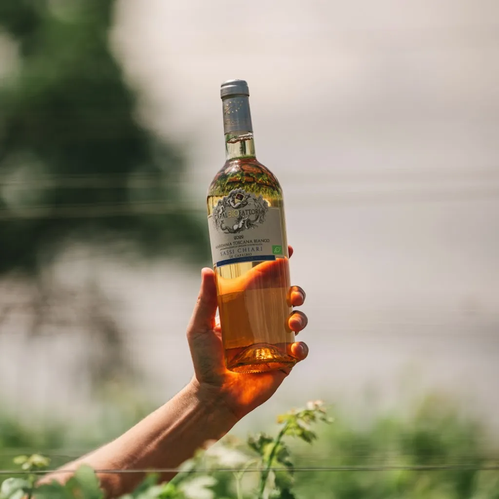 Menu_Ristorante Rurale - CapalBIO Fattoria_Capalbio_image_9