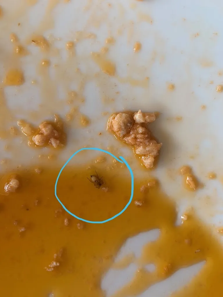 Giorgio Gazzola_Ristorante Casale Nuovo_Capalbio_review