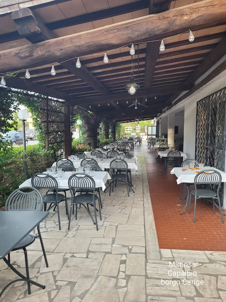 Ristorante Mimosa Di Marco Romano restaurant in Capalbio