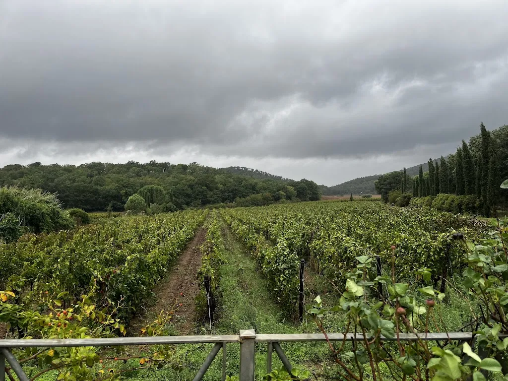 Ian McDougall_CapalBIO Fattoria_Capalbio_review