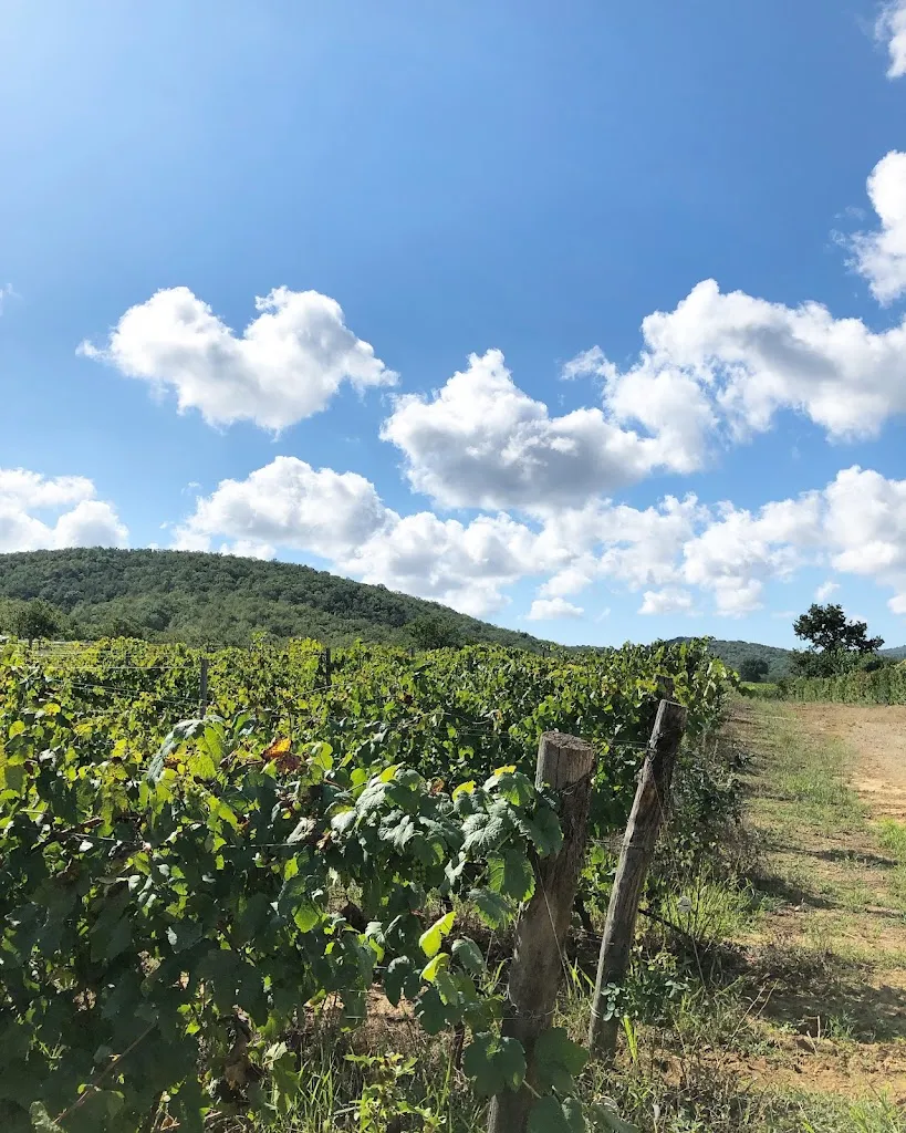 Cristiano De Nobili_CapalBIO Fattoria_Capalbio_review