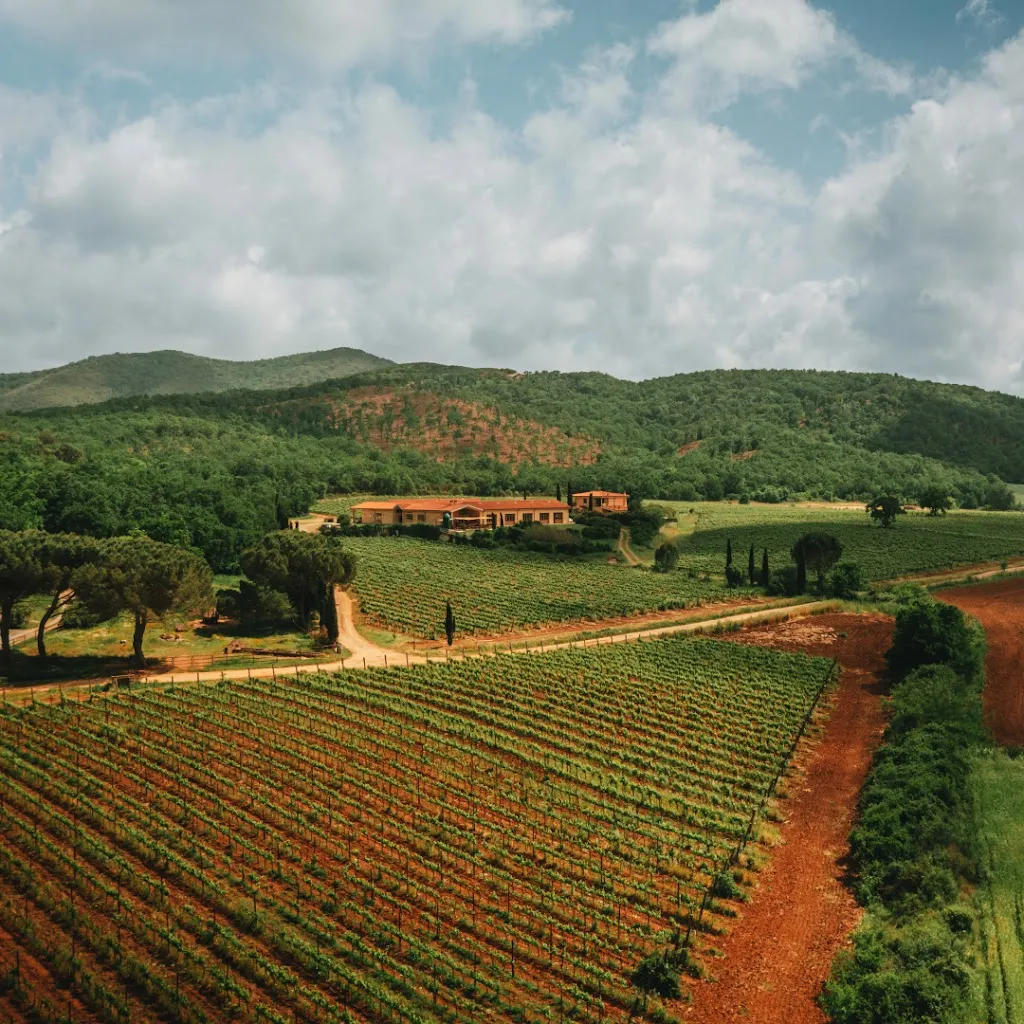 CapalBIO Fattoria_Capalbio_slider_image_3