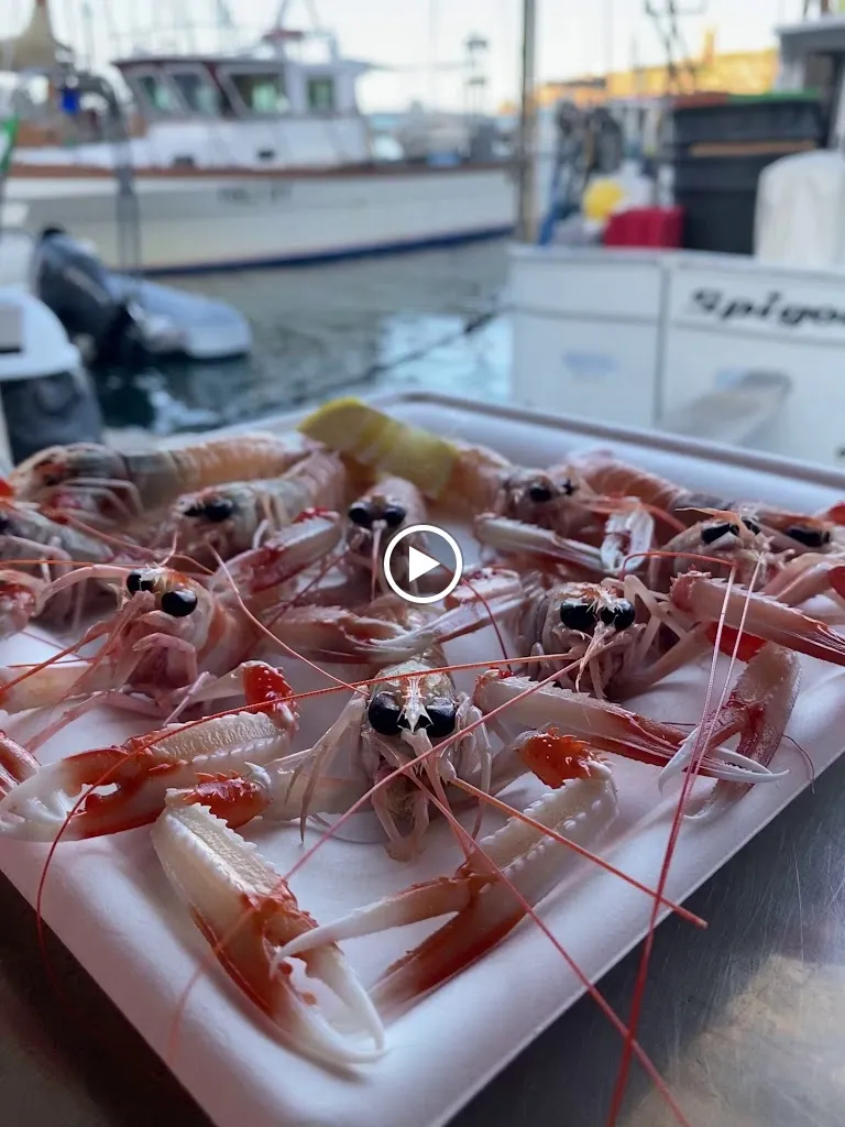 Pescianel Capraia Isola_Capraia e Limite_slider_image_2