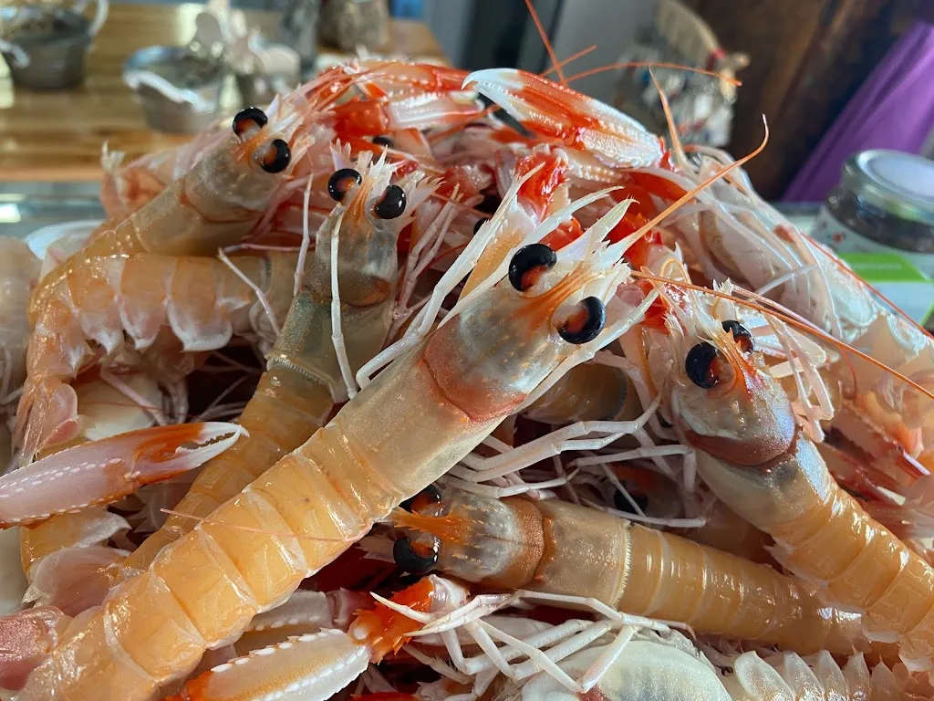 Pescianel Capraia Isola_Capraia e Limite_slider_image_3