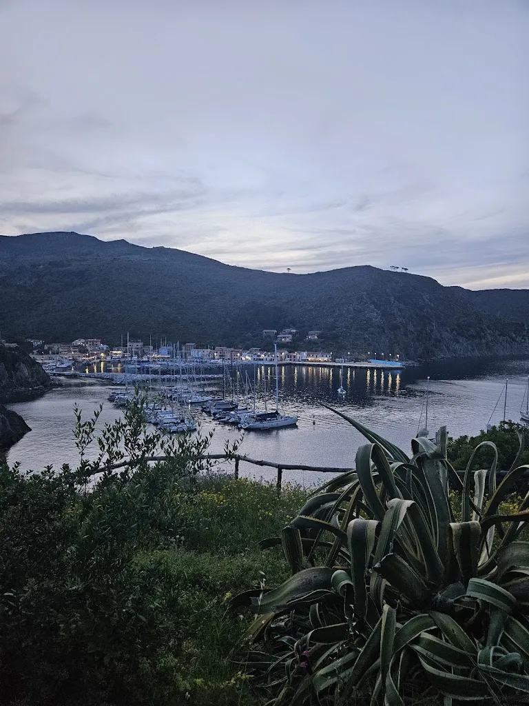 Daniela Salini_La Rive up_Capraia e Limite_recensione