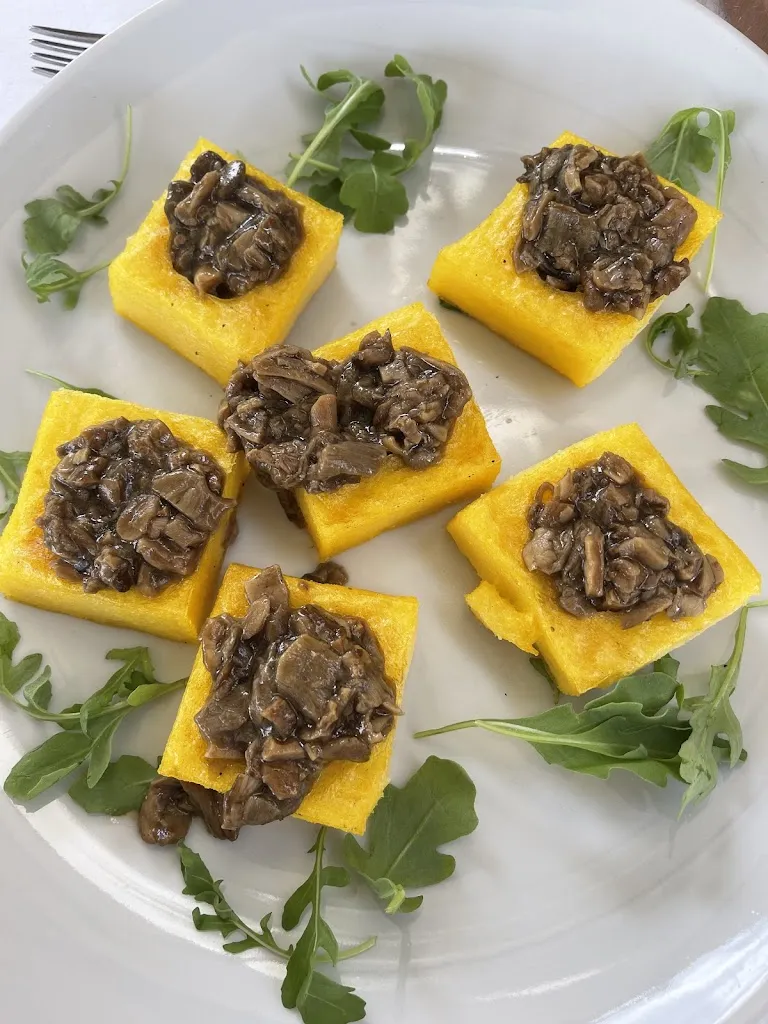 Martina Rebecchi_La Gatta Di Papi Marco_Careggine_review