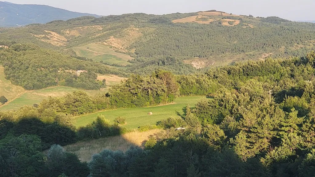 Jim Mannoia_Buca Di Michelangelo_Caprese Michelangelo_review