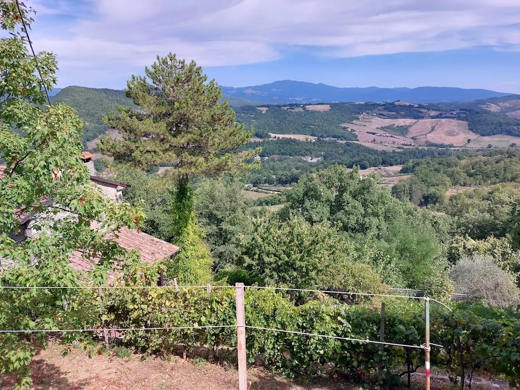 Valerie Robinson_Buca Di Michelangelo_Caprese Michelangelo_review