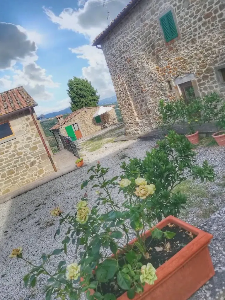 Terra Di Michelangelo_Caprese Michelangelo_slider_image_2