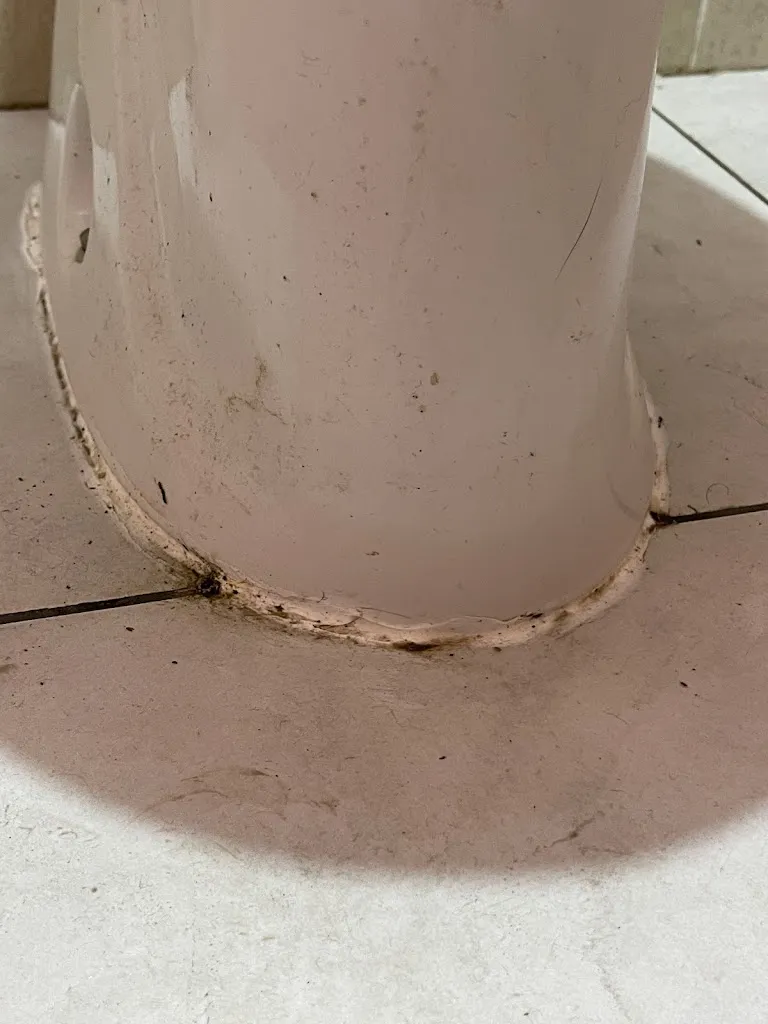 sonia_Agriturismo La Casina_Caprese Michelangelo_review