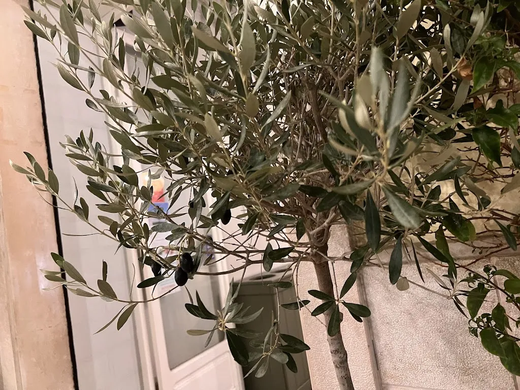 Claudio Brunetti_De Gustibus_Mattinata_review