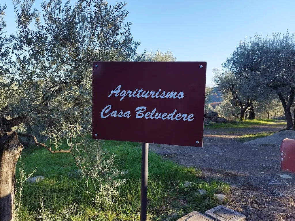 Arné Francese_Ristorante @ Agriturismo Casa Belvedere_Carmignano_review