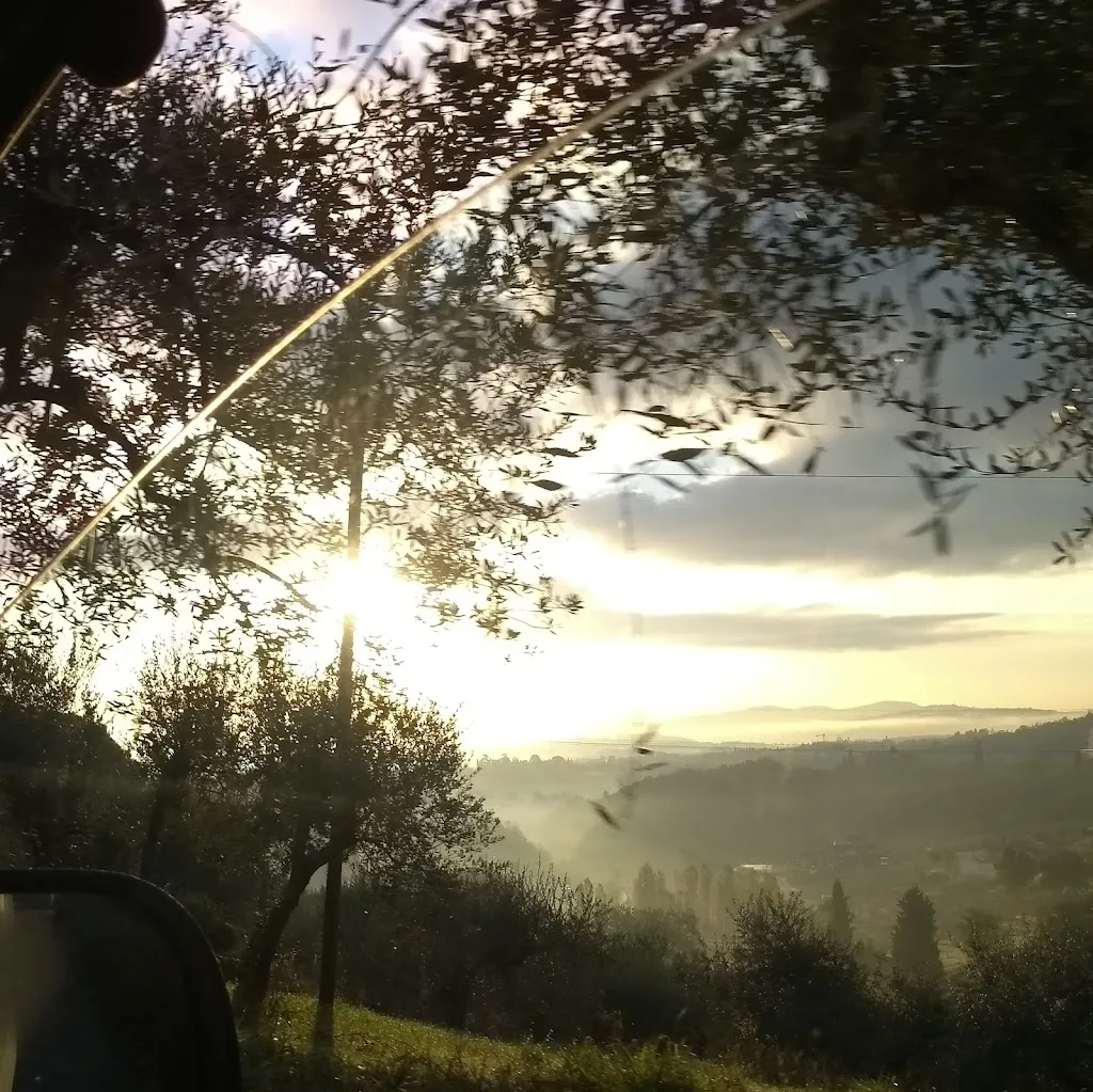 Cene Al Podere Raugei_Carmignano_slider_image_2