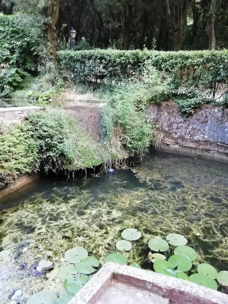 Lorenzo_Ristorante Parco La Ragnaia_Carraia_review