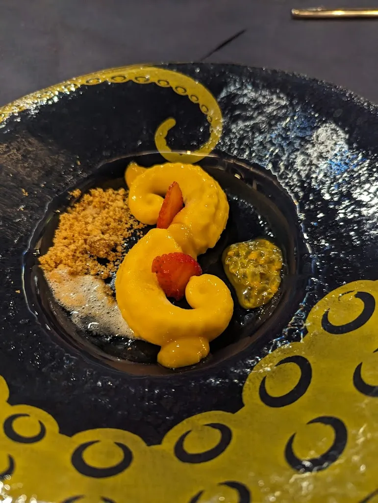 David Rojas_Octopus - Elba_Capoliveri_review