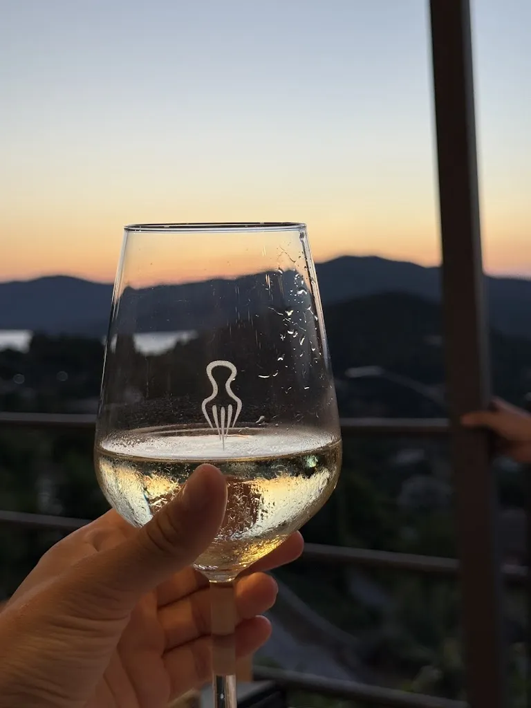 Azada Yusifzada_Octopus - Elba_Capoliveri_review