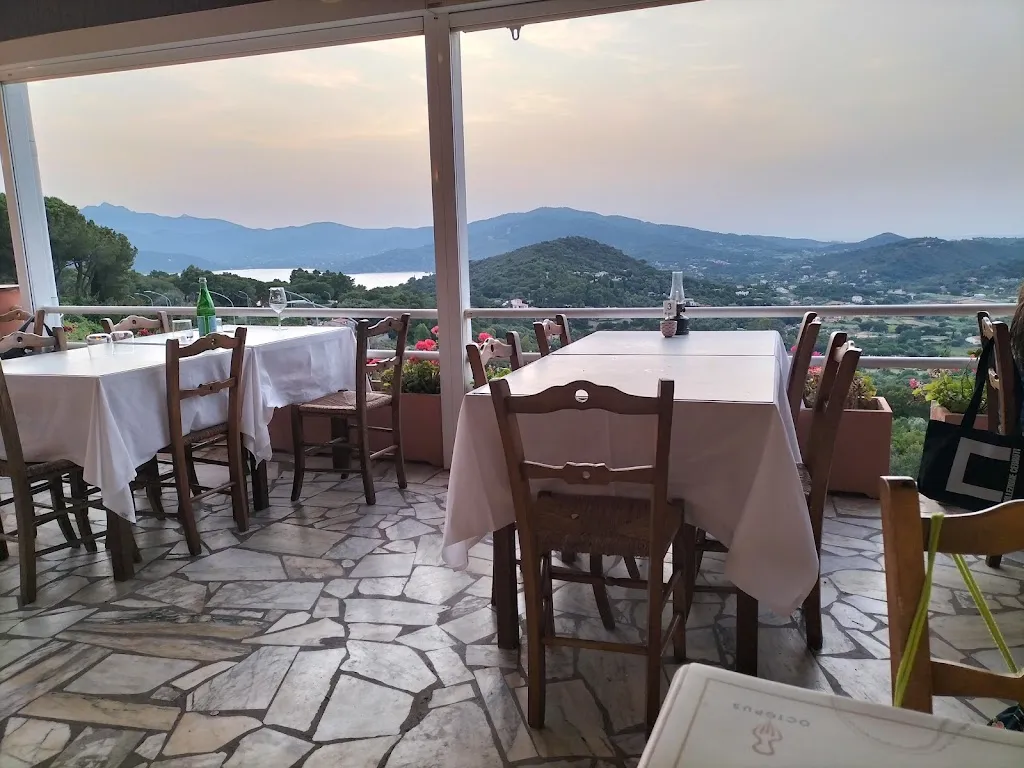 Octopus - Elba_Capoliveri_slider_image_1