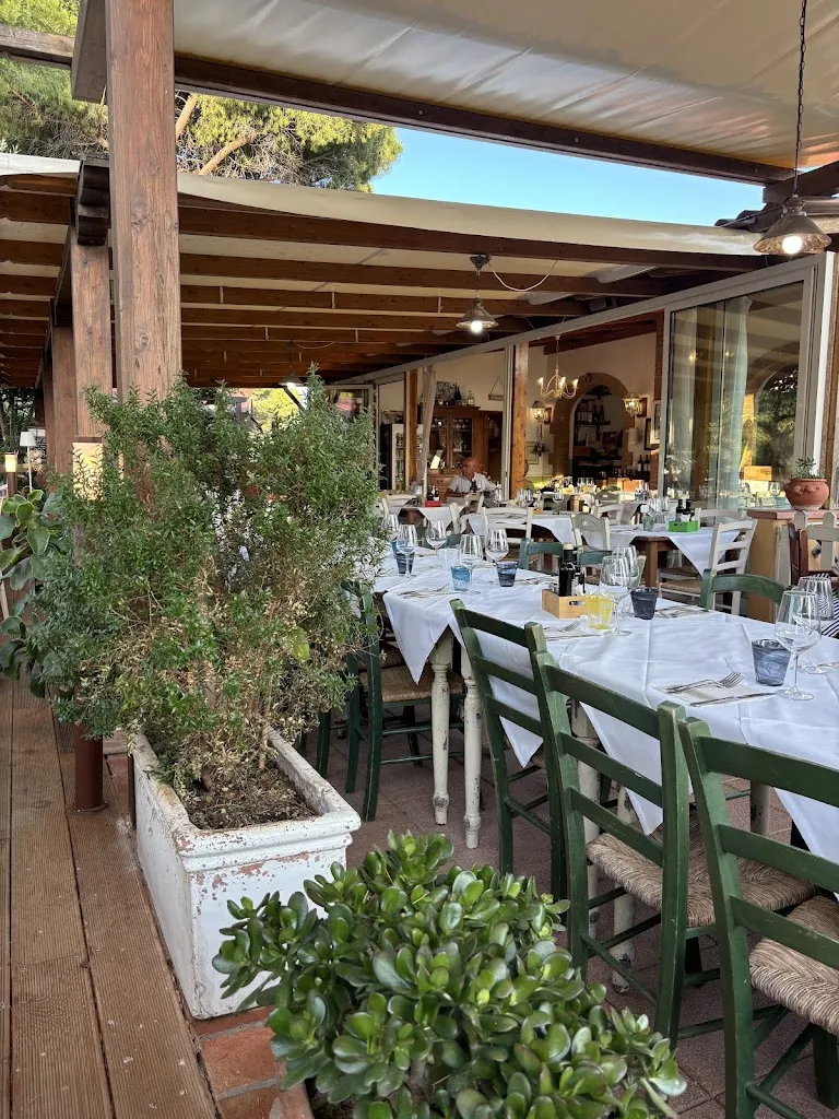 Osteria BardoVino restaurant in Casale Marittimo