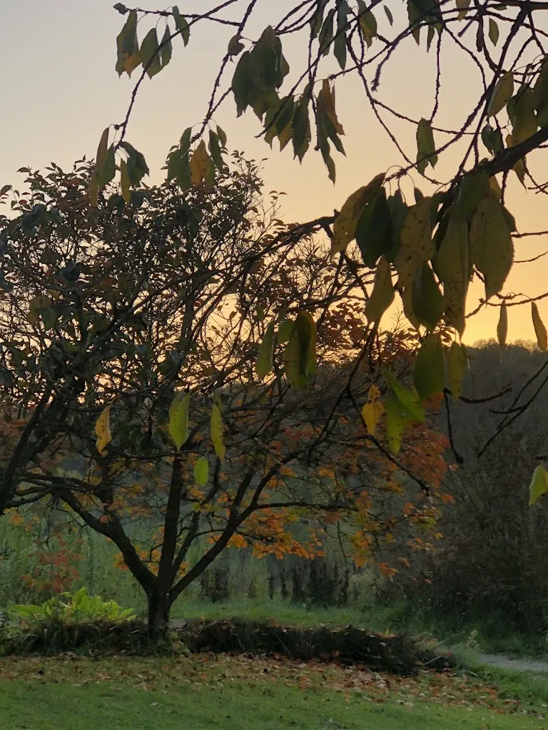 Roberta Diamond_Agriturismo Il Meletto_Casciana Terme_recensione