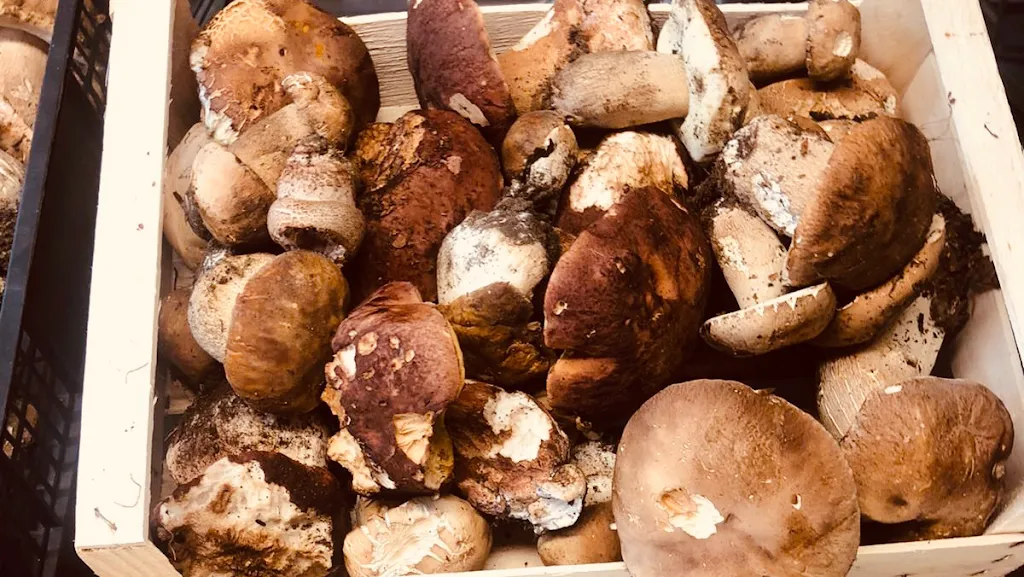 Locanda Fonte allo Spino_Castel San Niccolò_slider_image_3