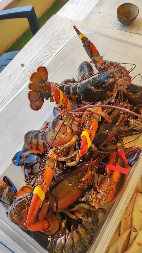 Ristorante Pizzeria Andrea_Castelfranco di Sopra_slider_image_3