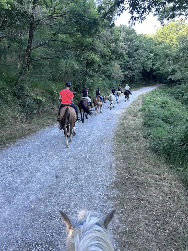 Sarah Judge_Agriturismo Il Cornacchino_Castell'Azzara_review