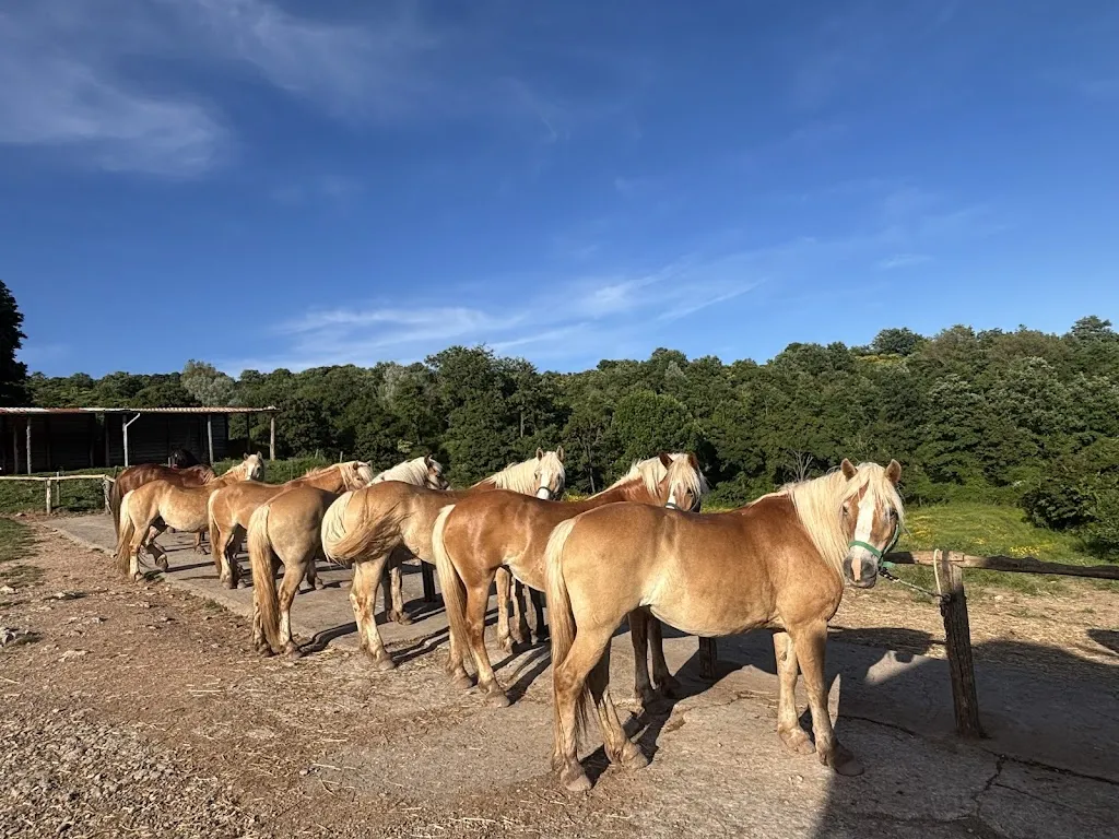 J_Agriturismo Il Cornacchino_Castell'Azzara_review
