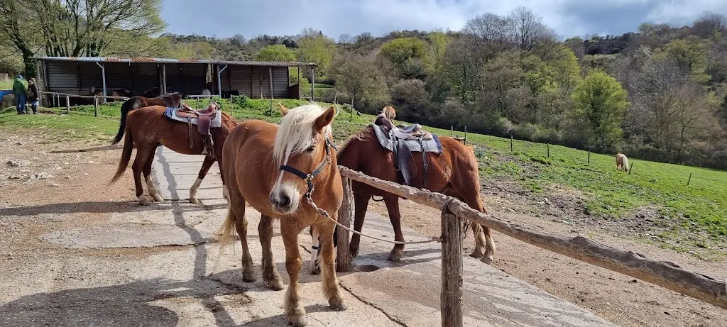 Lesley McBride_Agriturismo Il Cornacchino_Castell'Azzara_review