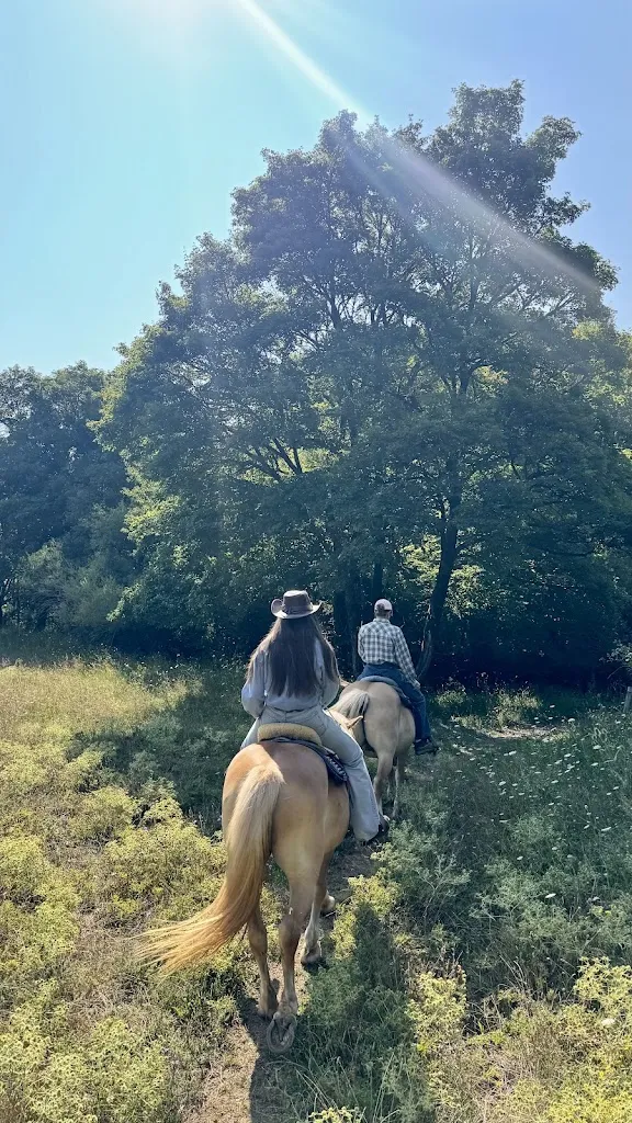 Agriturismo Il Cornacchino_Castell'Azzara_slider_image_1