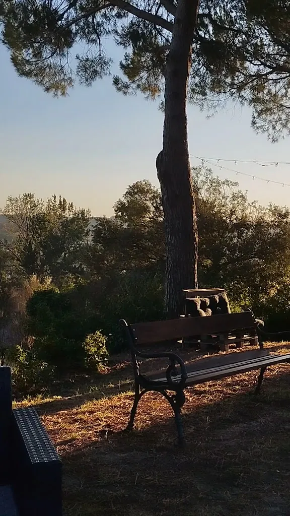 ristorante il cigliere del rustico_Castelfiorentino_slider_image_2