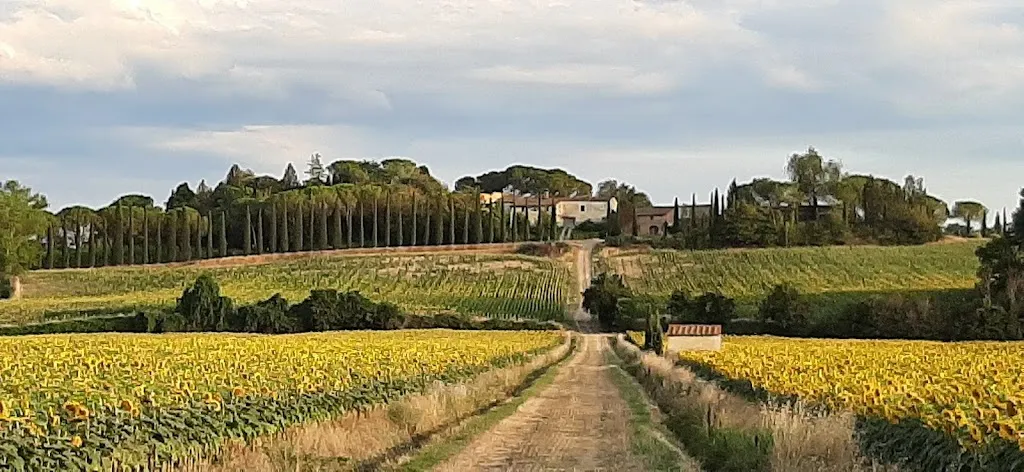 Andrej Likar_Borgo alla Vigna_Castelfiorentino_review