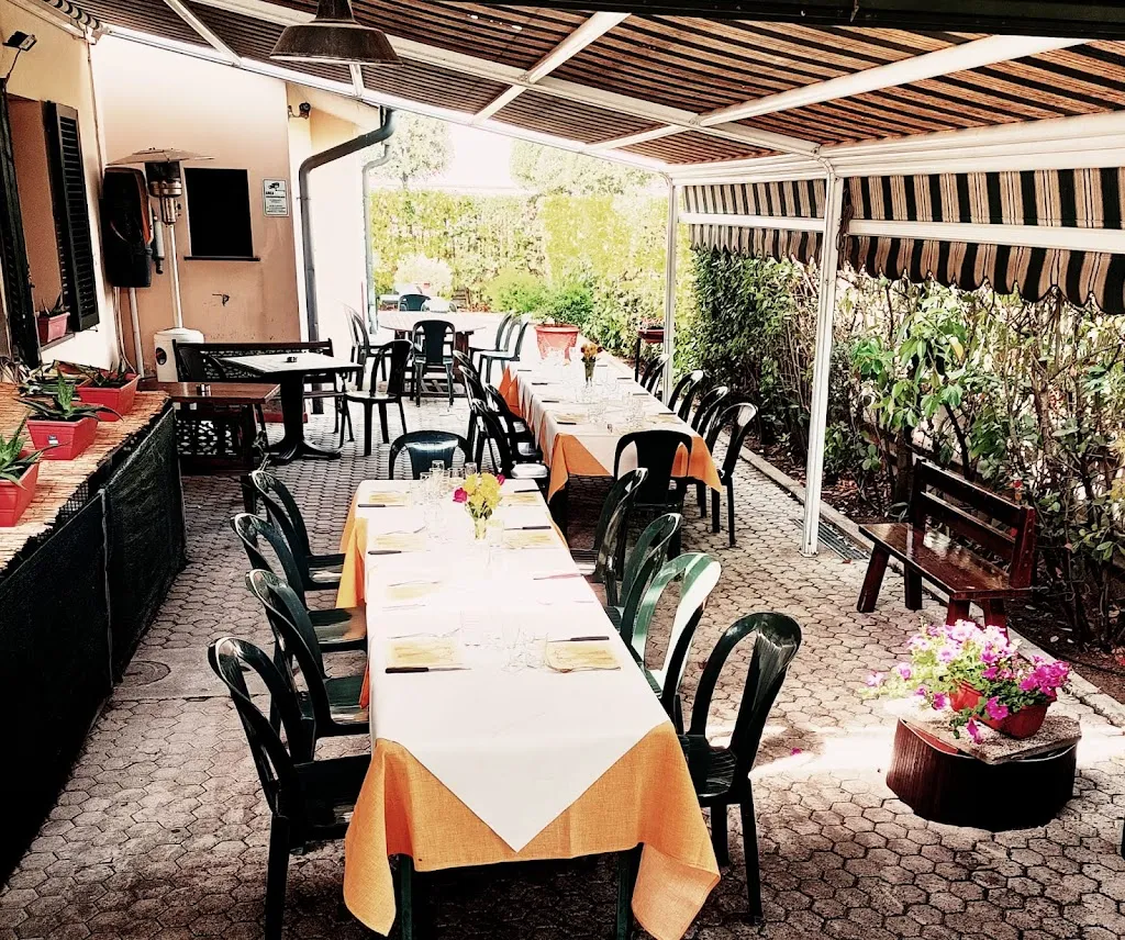 Il Pino Osteria Pizzeria_Castelfranco di Sotto_slider_image_1