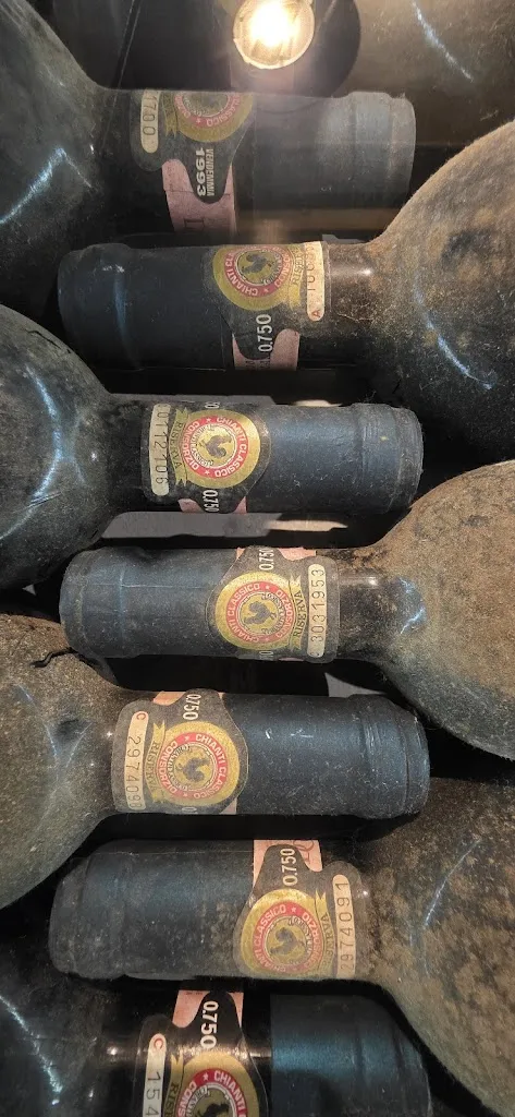 Raphael Cameron_Taverna Squarcialupi_Castellina in Chianti_review