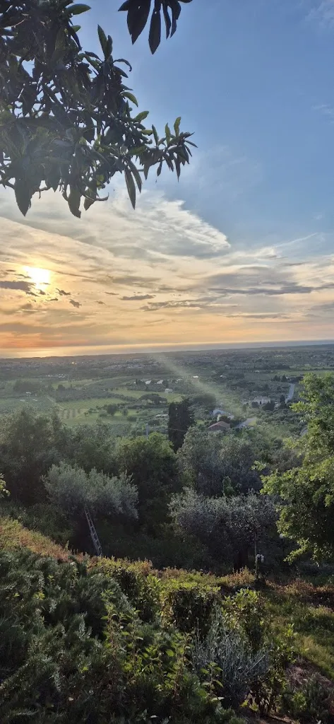 Paul van der Heijden_Ristorante Il Vecchio Frantoio_Castagneto Carducci_review