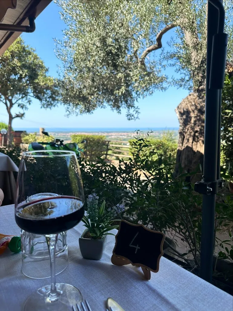 Taylor Greer_Ristorante Il Vecchio Frantoio_Castagneto Carducci_review