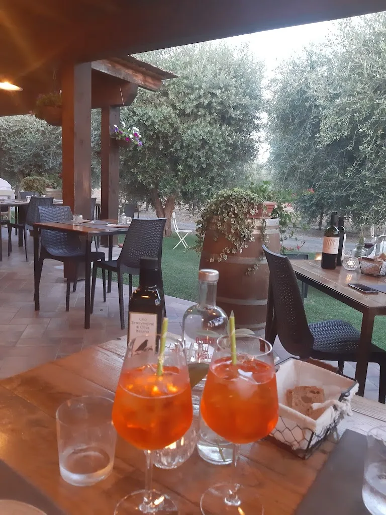 Menu_Osteria dei Merli_Castagneto Carducci_image_9