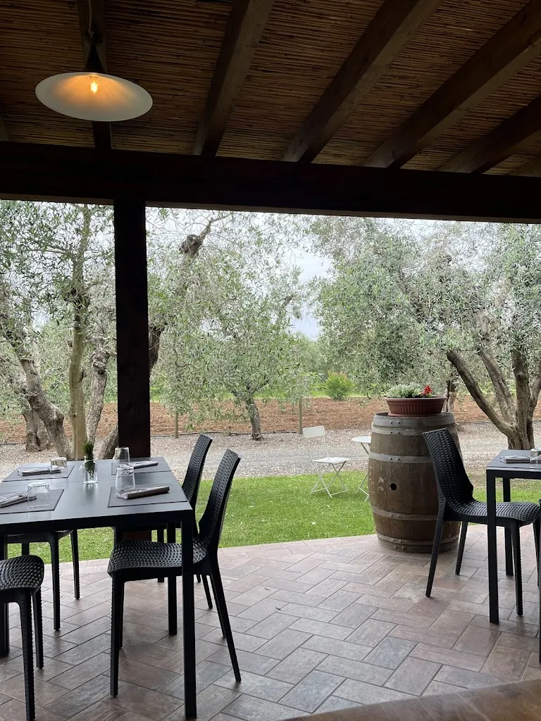 Osteria dei Merli_Castagneto Carducci_slider_image_1