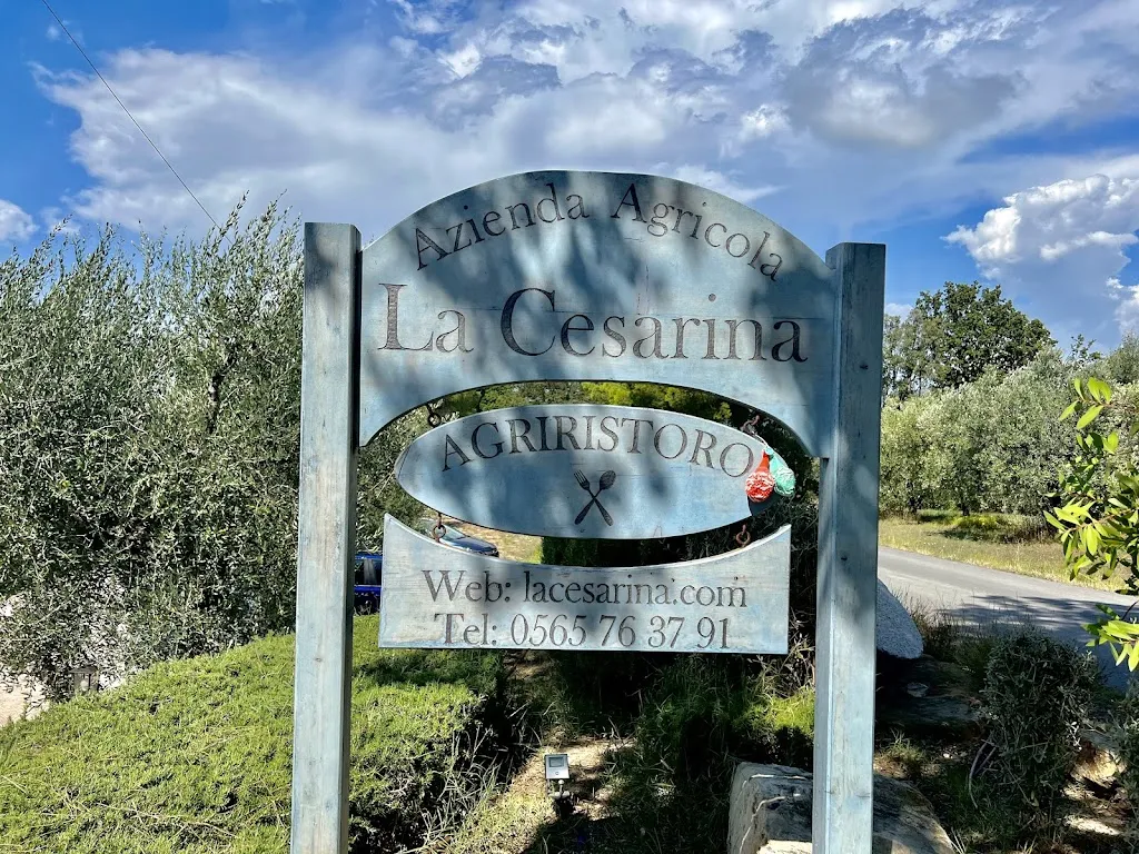 K S_Agriristoro La Cesarina_Castagneto Carducci_review