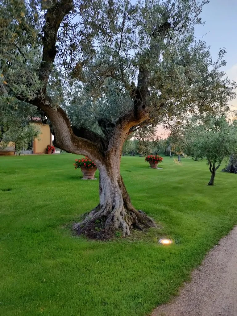 Sofia Dimitri_Osteria Caccia al Piano_Castagneto Carducci_review