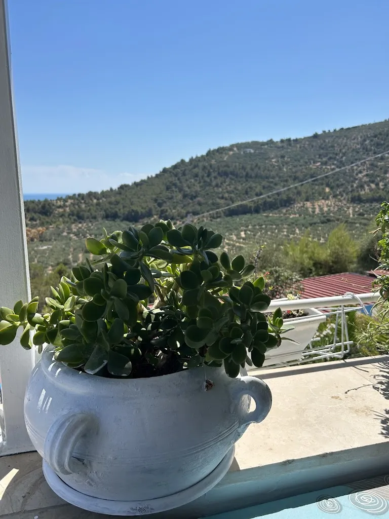 Silvia Pfirrmann_Ristorante San Michele_Mattinata_review