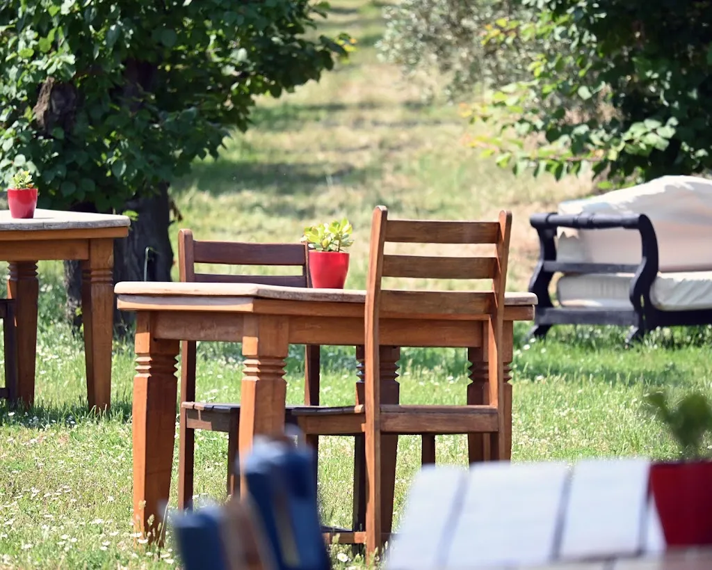 "Alla Terra" Ristorante Agriristoro restaurant in Castagneto Carducci