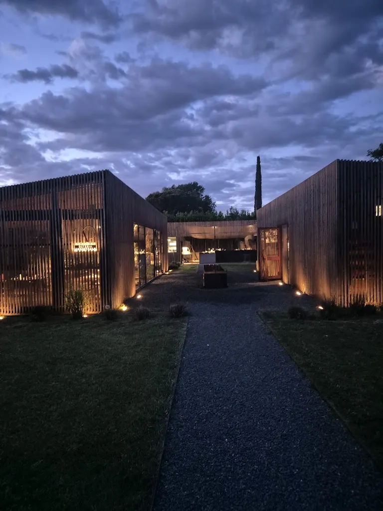 Salina Kuiper_Arduino Bolgheri Osteria Ancestrale_Castagneto Carducci_review